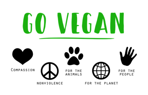 vegan-1343429_640