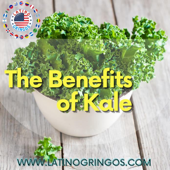 The Benefits of Kale