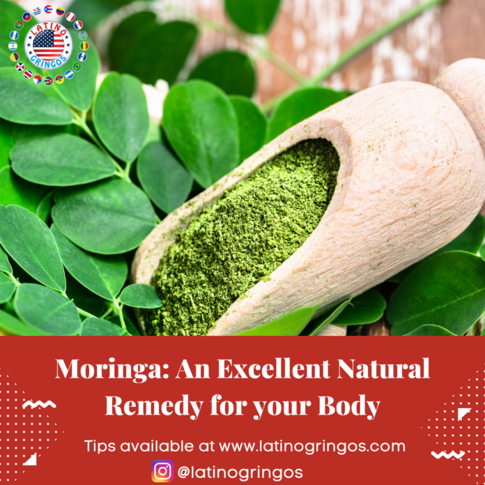 Moringa An Excellent Natural Remedy for your Body