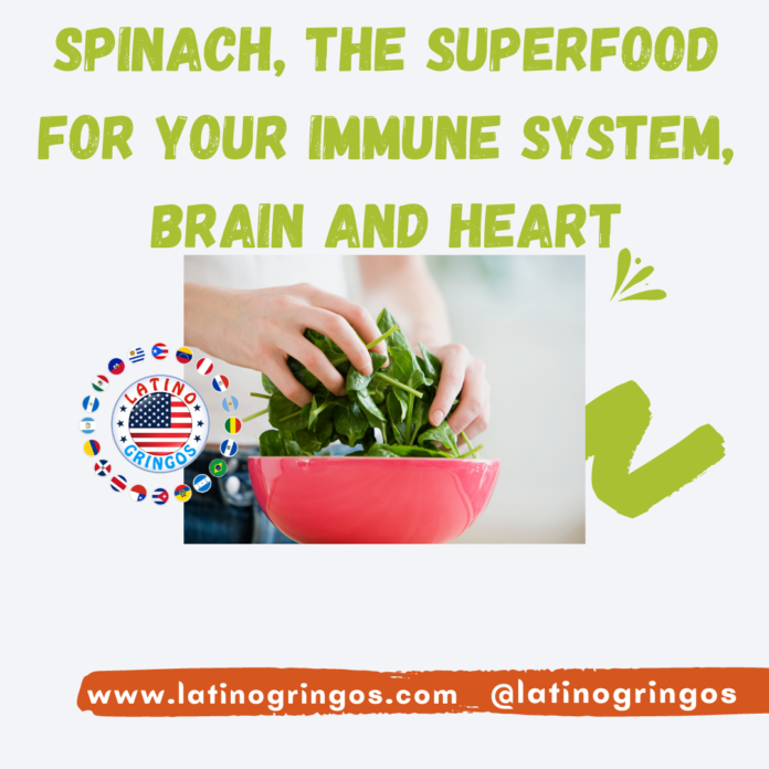 Spinach, The Superfood for your Immune System, Brain and Heart