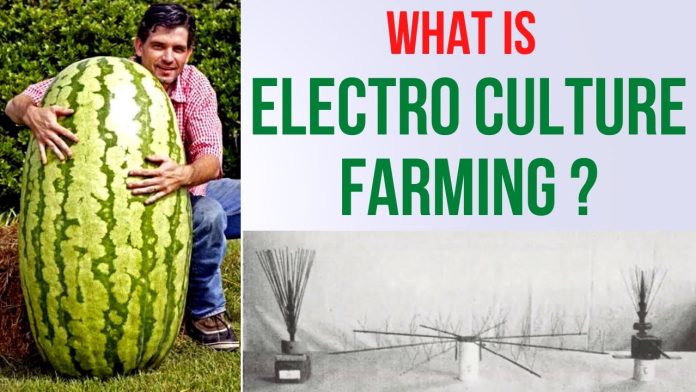 electroculture farming